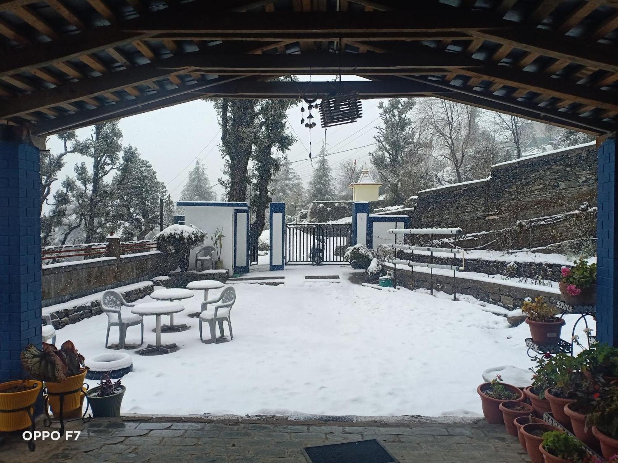 Oasis Guest House Bhagsu D'Shala دارامشالا المظهر الخارجي الصورة