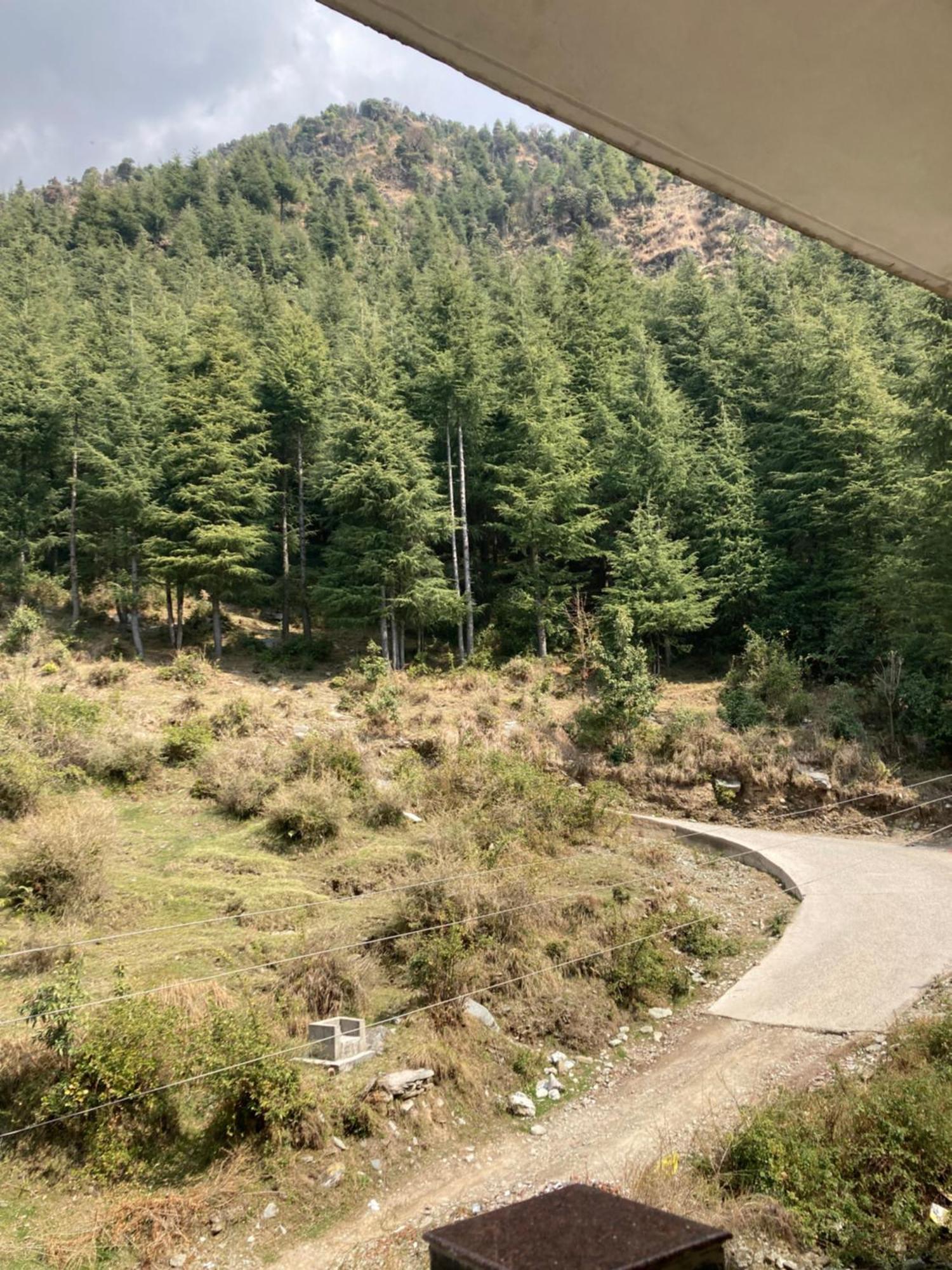 Oasis Guest House Bhagsu D'Shala دارامشالا المظهر الخارجي الصورة